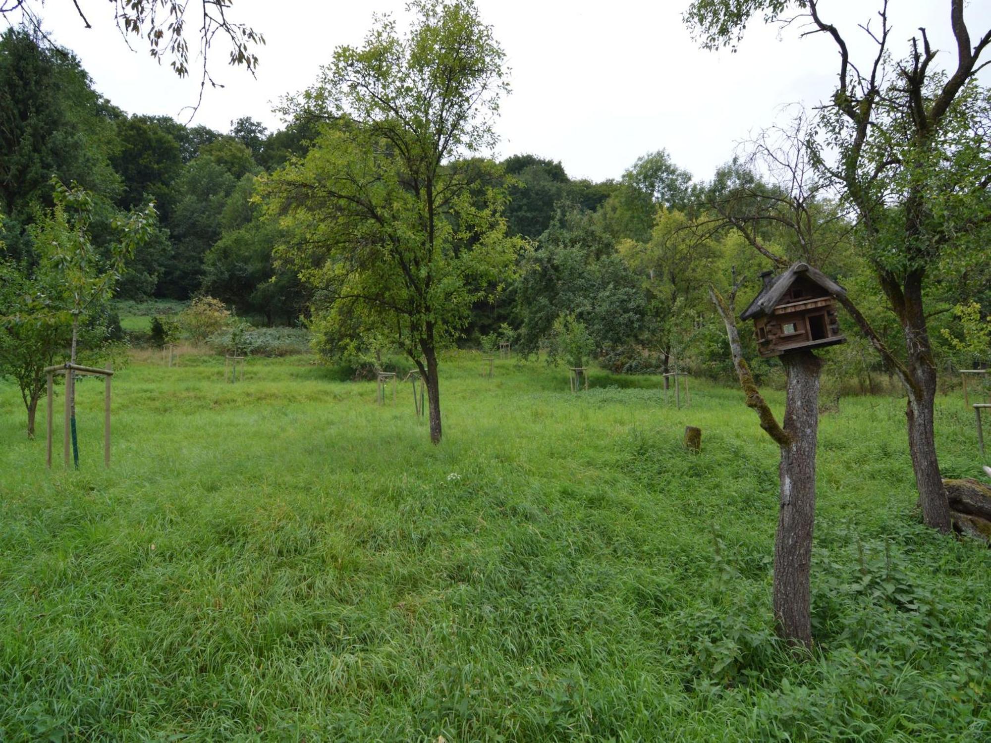 Cozy Apartment In Immerath With Fishing Near Esterno foto